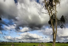 爱游戏官方入口-葡萄牙队逆转波兰队，奥恰洛夫刷新纪录