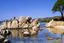 爱游戏官方入口-葡萄牙队逆转波兰队，奥恰洛夫刷新纪录