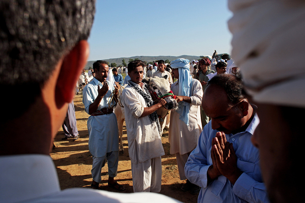 爱游戏入口-公牛队实现逆袭，成功战胜对手